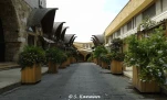 byblos rue souk3