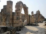 tyr terrestre 6158