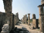 tyr terrestre 6161