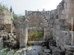 tyr terrestre 6193