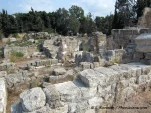tyr terrestre 6202